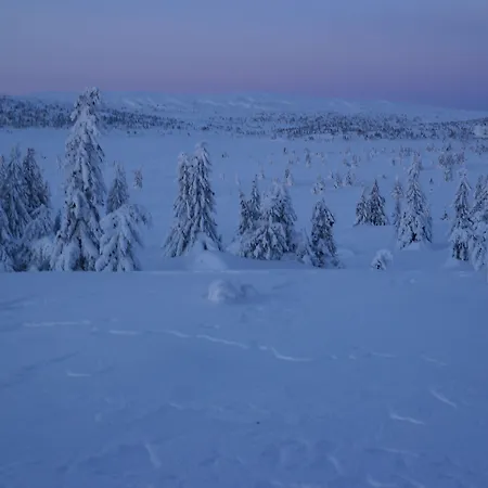 Hotel Lillehammer Fjellstue Og