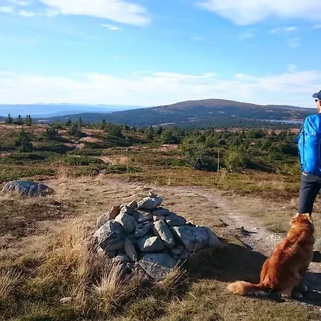 Lillehammer Fjellstue Og 호텔