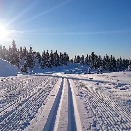 Lillehammer Fjellstue Og Hotel 3*