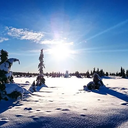 Lillehammer Fjellstue Og 3* Nordseter